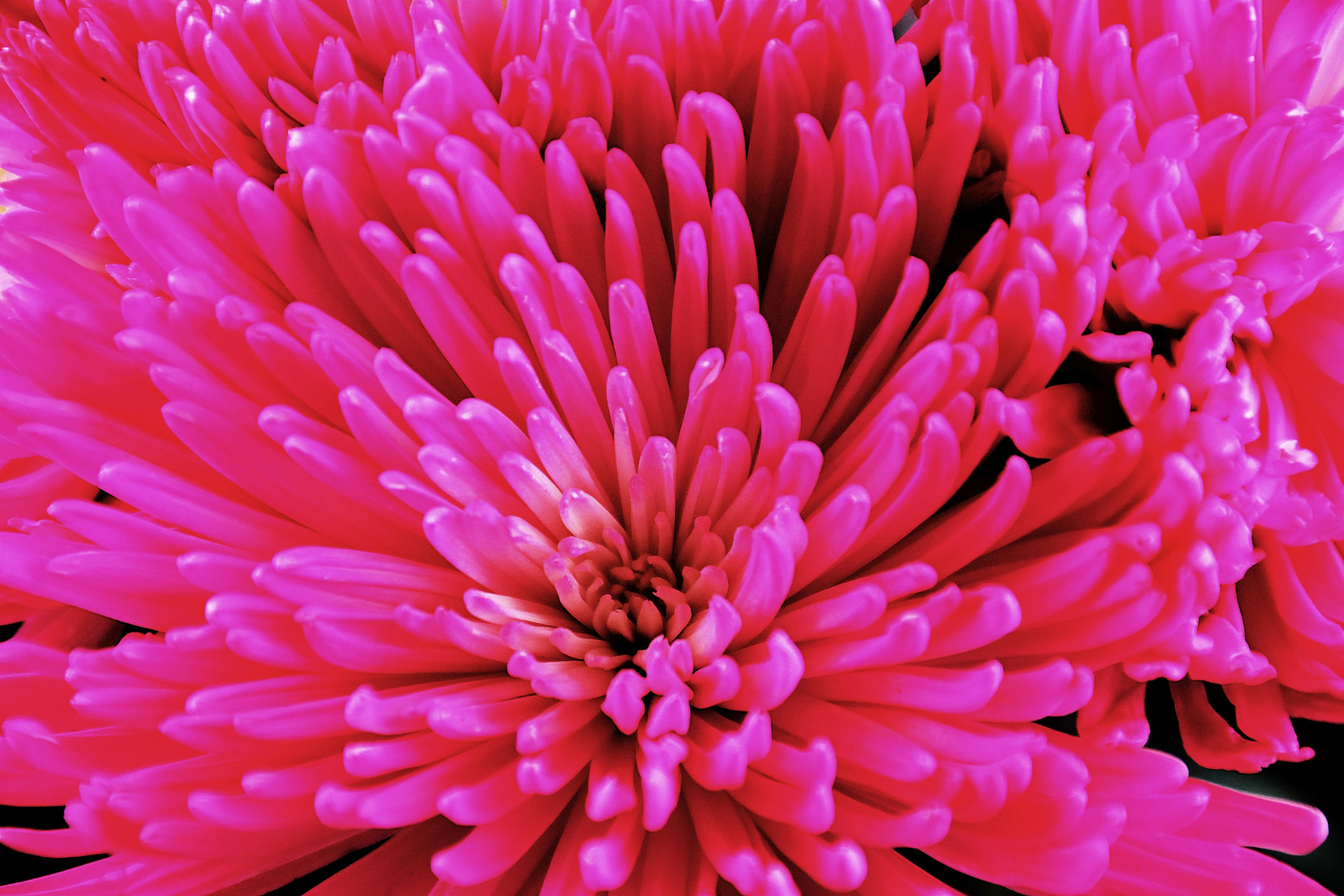 Evaluating the Diminishing Returns⁤ of ​Loyalty ⁢Programs