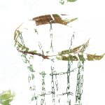 How to Earn Double Points on Vacation Packages