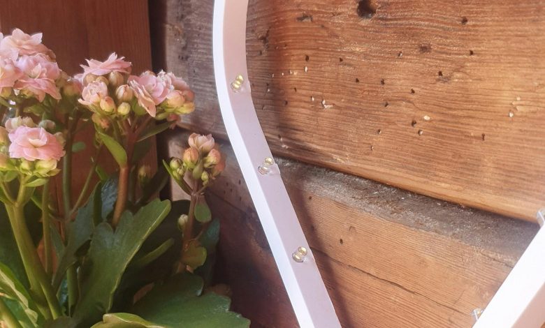 Best Hotels for Budget-Friendly Reward Stays