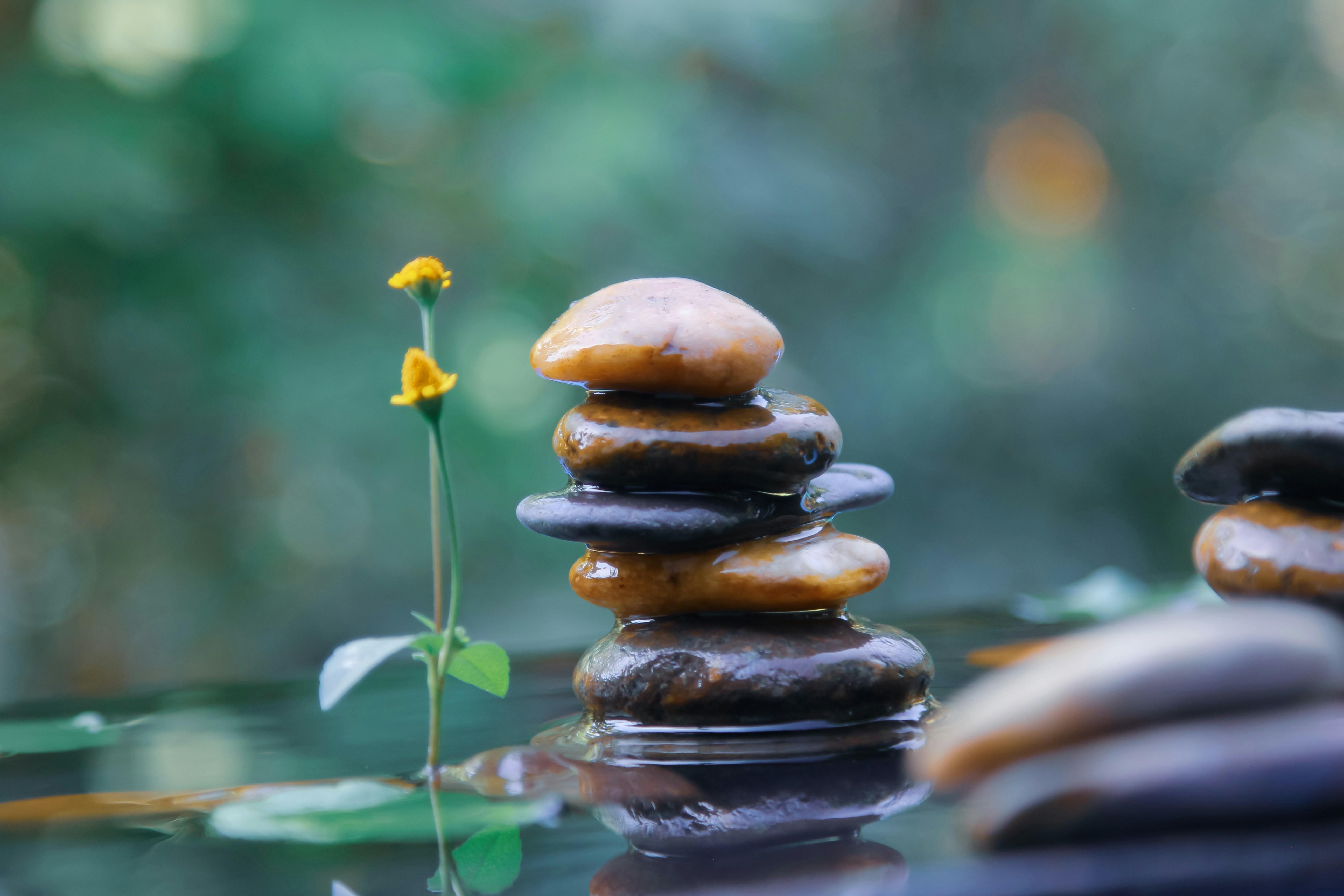 Maximizing Your Rewards: Transforming Points into Pampering