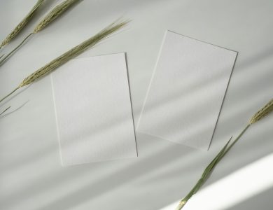 Will Credit Card Rewards Kill Airline Loyalty Programs