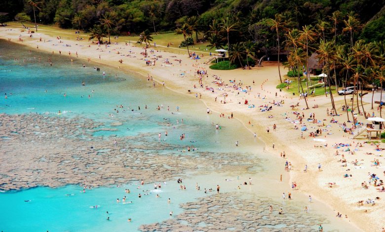 Best Hotels for Beach Vacations Using Reward Points