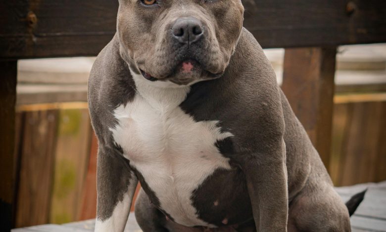 How to Use Loyalty Programs to Save on Group Travel