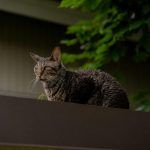 Best Programs Offering Double Points Promotions