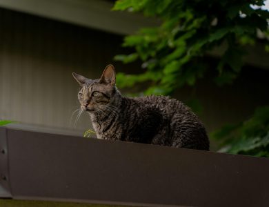 Best Programs Offering Double Points Promotions