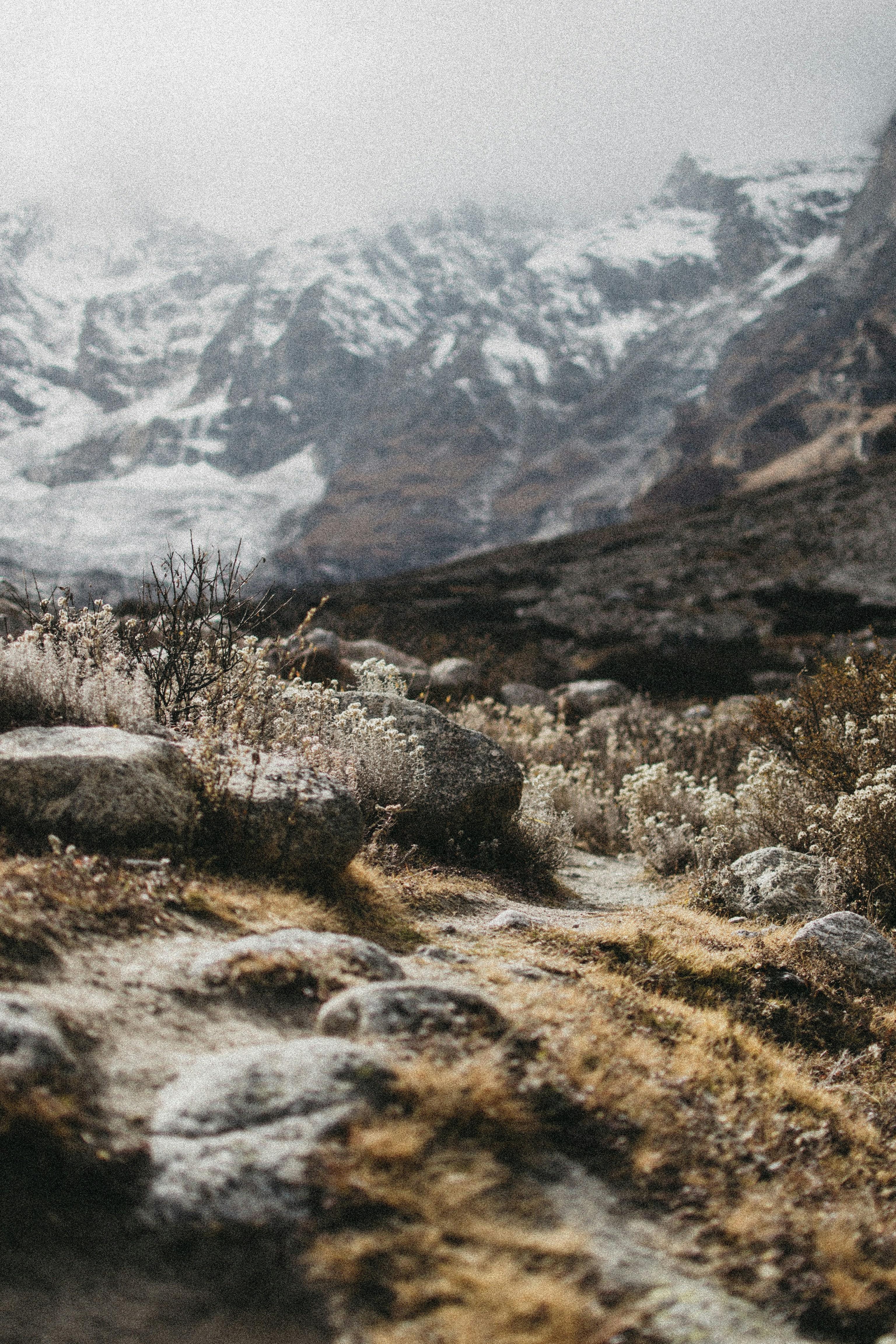 Evaluating the Most Rewarding Loyalty Programs for Frequent Travelers
