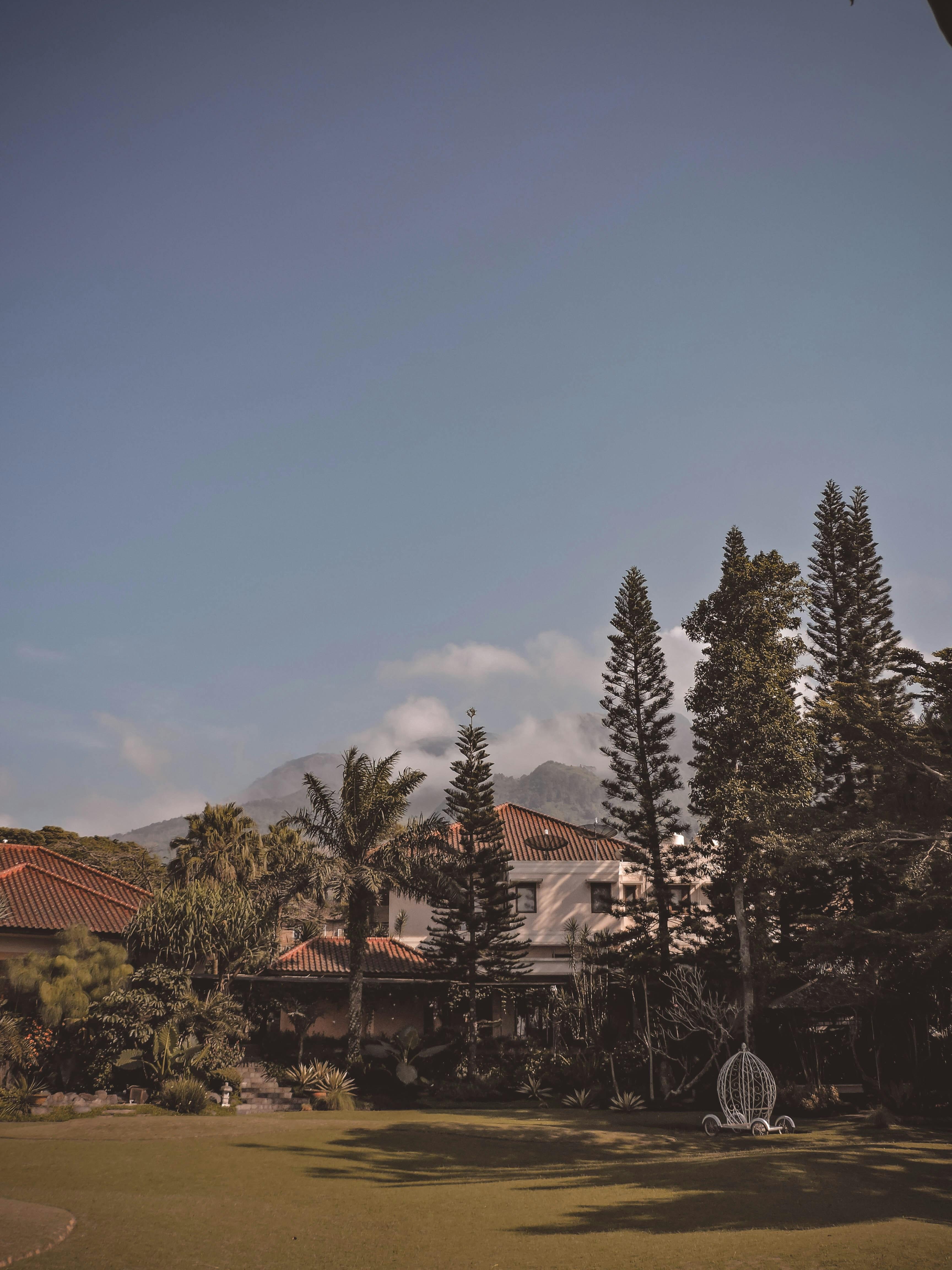 Tips for Booking All-Inclusive Stays with Reward Points
