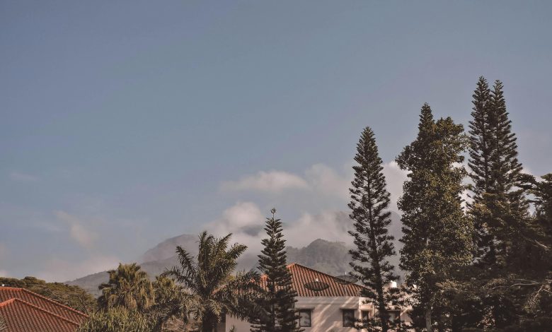 Are All-Inclusive Resorts a Waste of Money