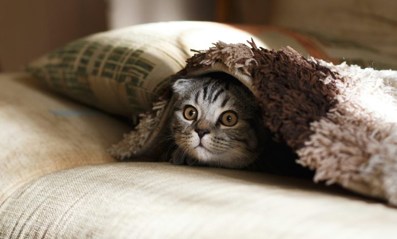 How to Find Hidden Discounts on Airline Websites