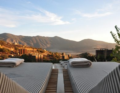 How to Earn Hotel Points with Dining Programs