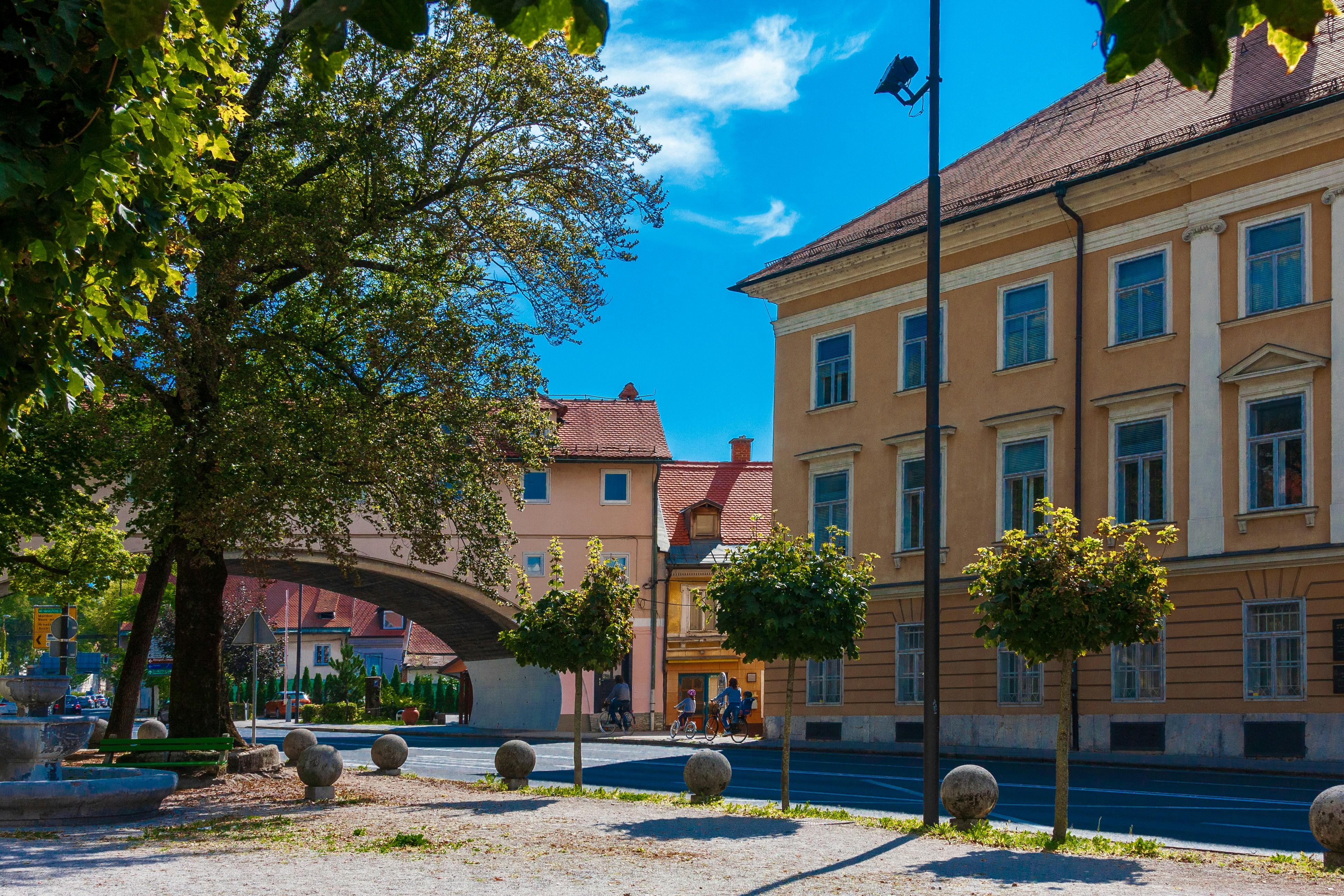 Understanding the Costs and Benefits of Maintaining Elite Perks