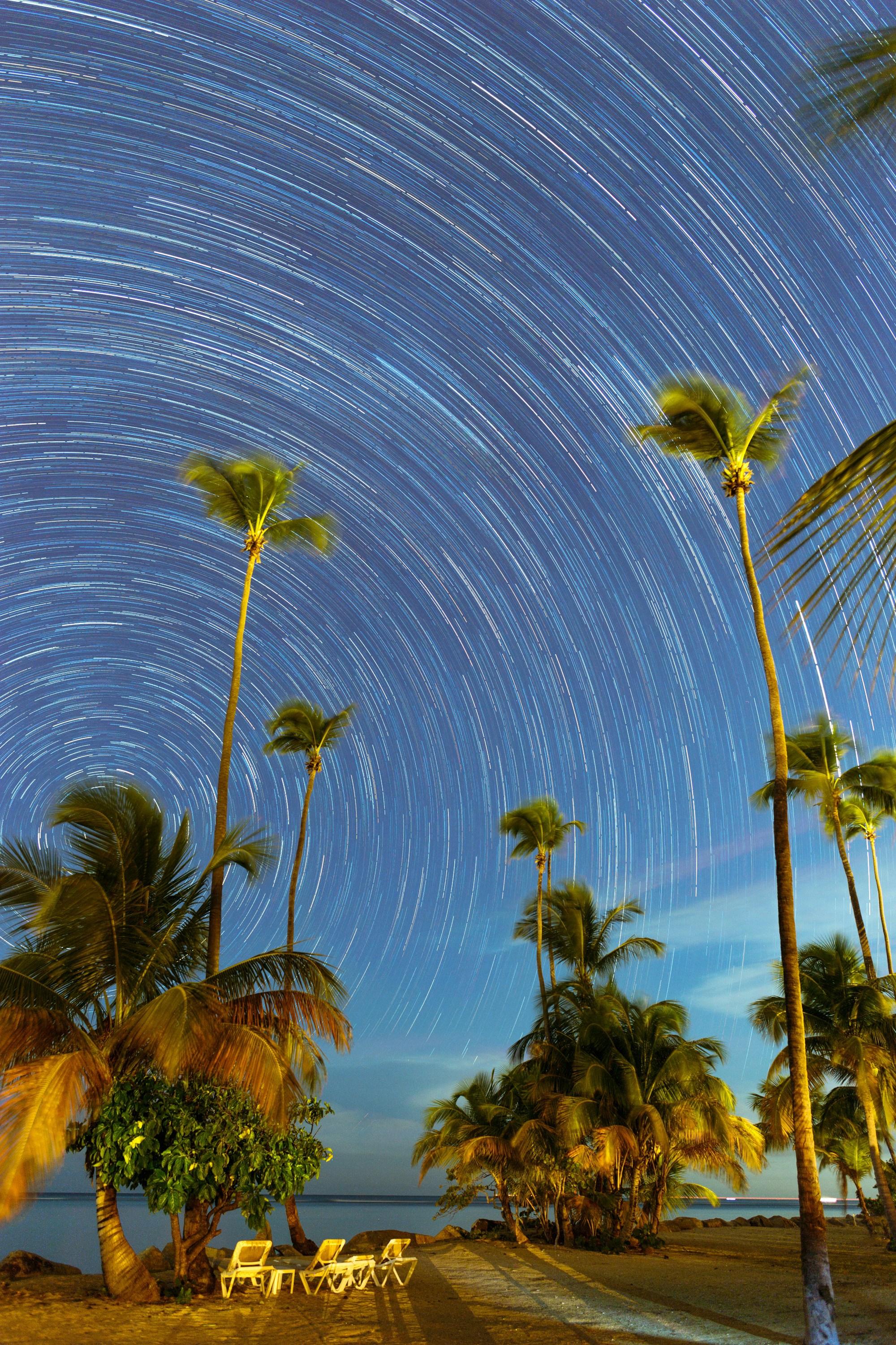 Comparative Analysis of Leading Resort Loyalty Programs