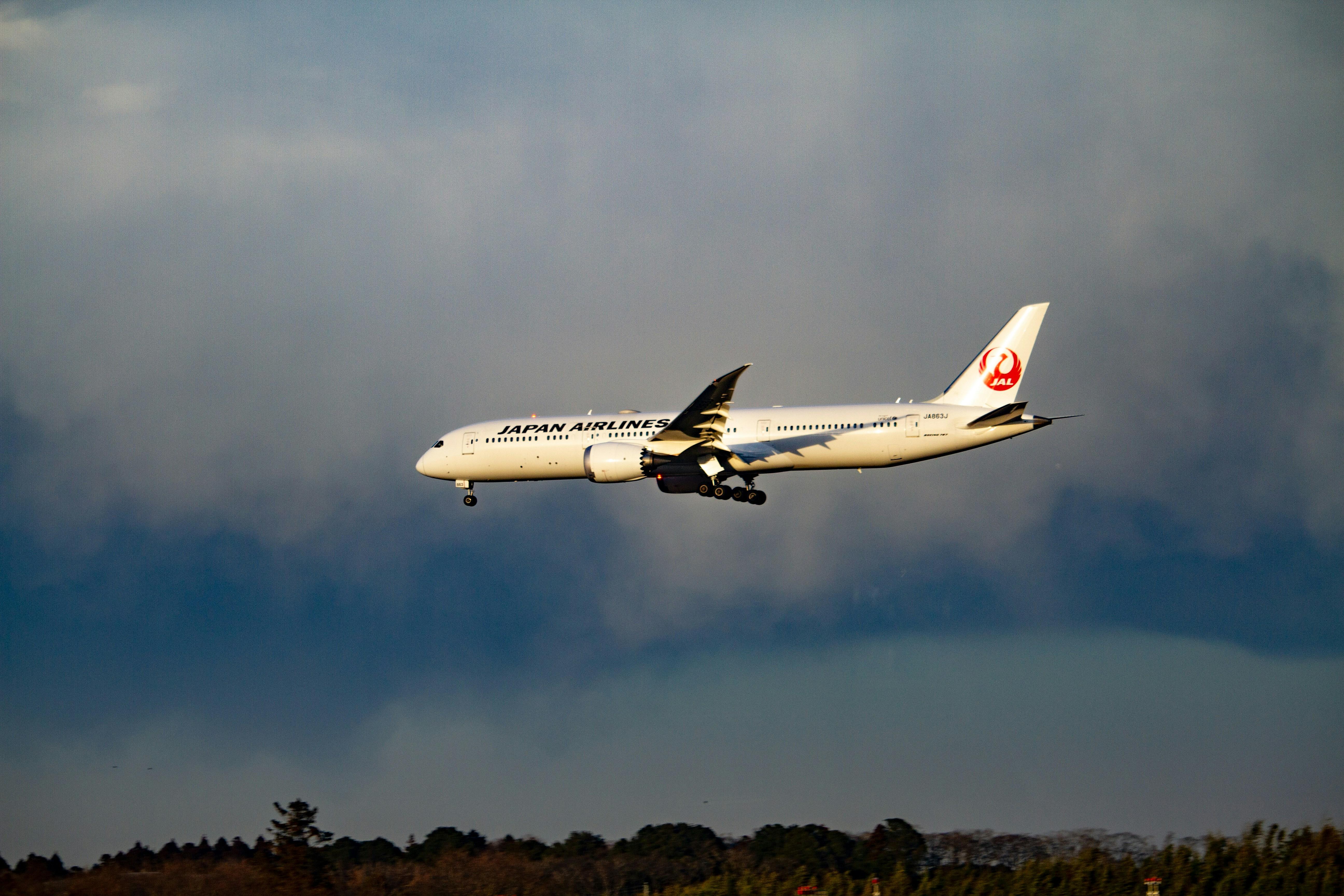 Key Differences in Major Airlines Expiration Policies
