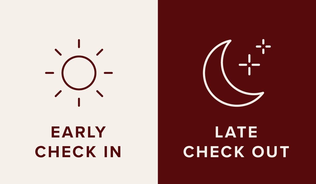 Tips for Early Check-In and Seat Selection